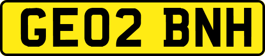 GE02BNH