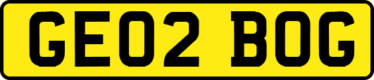 GE02BOG