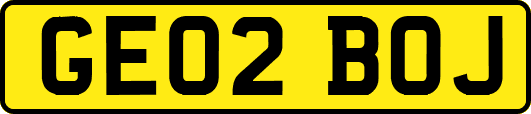 GE02BOJ