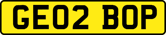 GE02BOP