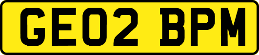GE02BPM