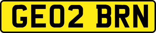 GE02BRN
