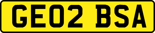 GE02BSA