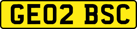 GE02BSC