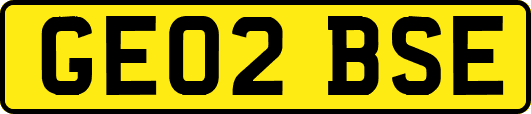 GE02BSE