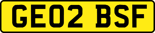 GE02BSF