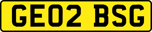 GE02BSG