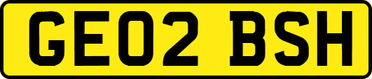GE02BSH