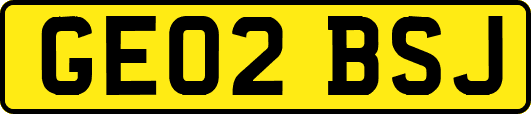 GE02BSJ