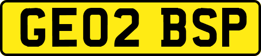 GE02BSP