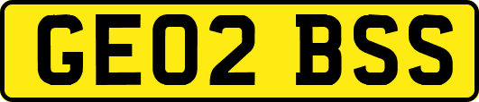 GE02BSS