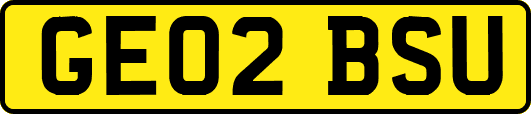 GE02BSU