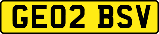 GE02BSV