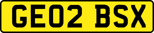 GE02BSX