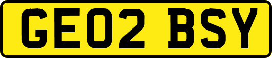 GE02BSY