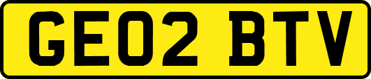 GE02BTV