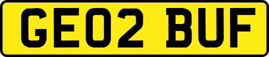 GE02BUF