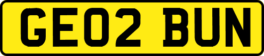 GE02BUN