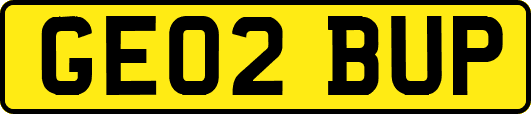 GE02BUP