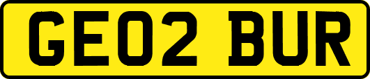 GE02BUR