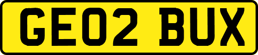 GE02BUX