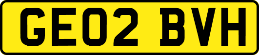GE02BVH