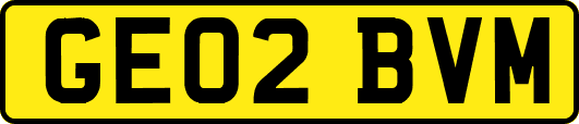 GE02BVM