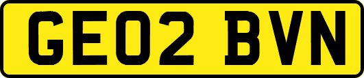 GE02BVN