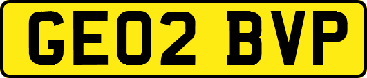 GE02BVP