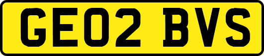 GE02BVS