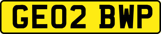 GE02BWP