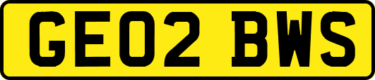 GE02BWS