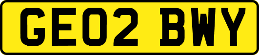 GE02BWY