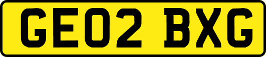 GE02BXG
