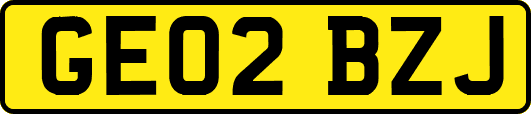 GE02BZJ