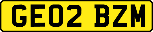 GE02BZM