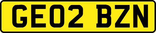 GE02BZN