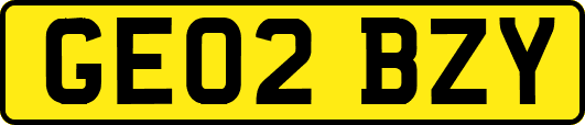 GE02BZY