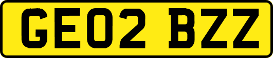 GE02BZZ
