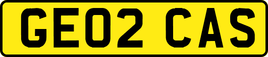 GE02CAS