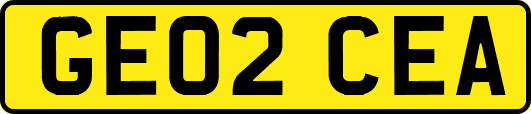 GE02CEA