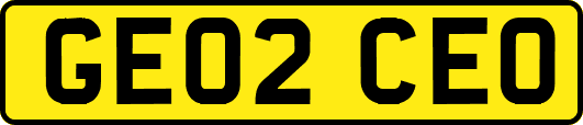 GE02CEO