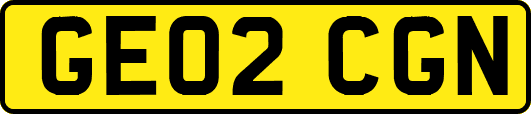 GE02CGN