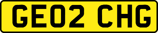 GE02CHG