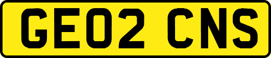 GE02CNS