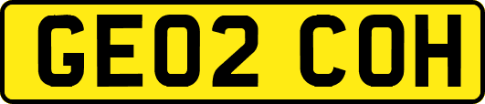 GE02COH
