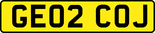 GE02COJ
