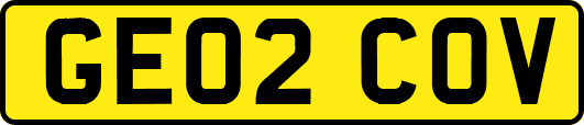 GE02COV