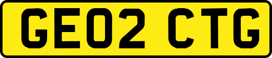 GE02CTG
