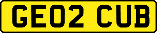 GE02CUB